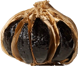 Black Garlic bulb